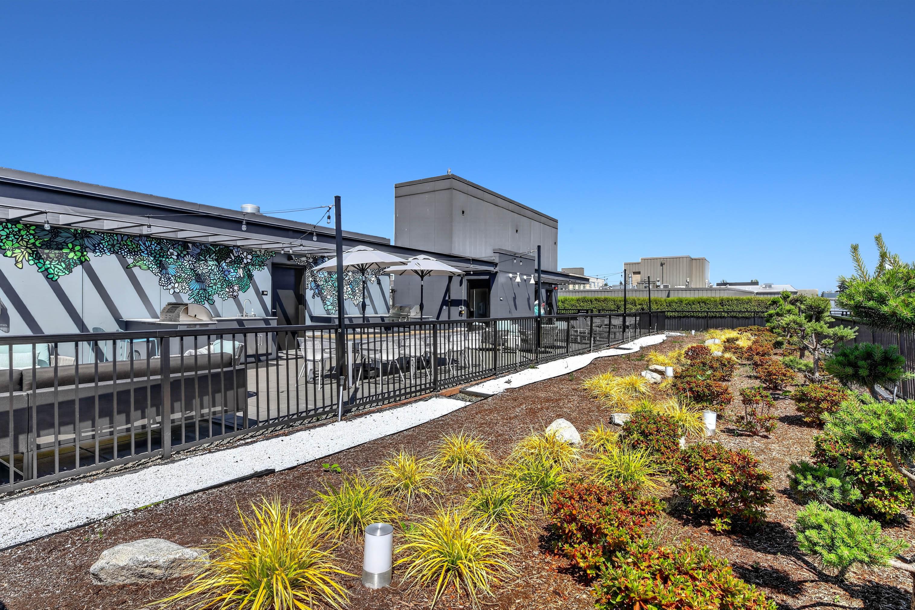 Rooster Apartments — image 38